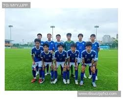 TA：欧足联与亲巴勒斯坦组织会面，讨论禁止以色列参赛事宜