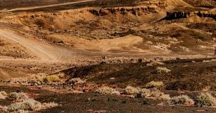 牛啊！中国姑娘创历史引关注，曾为中国斩获首金，世界杯再迎突破